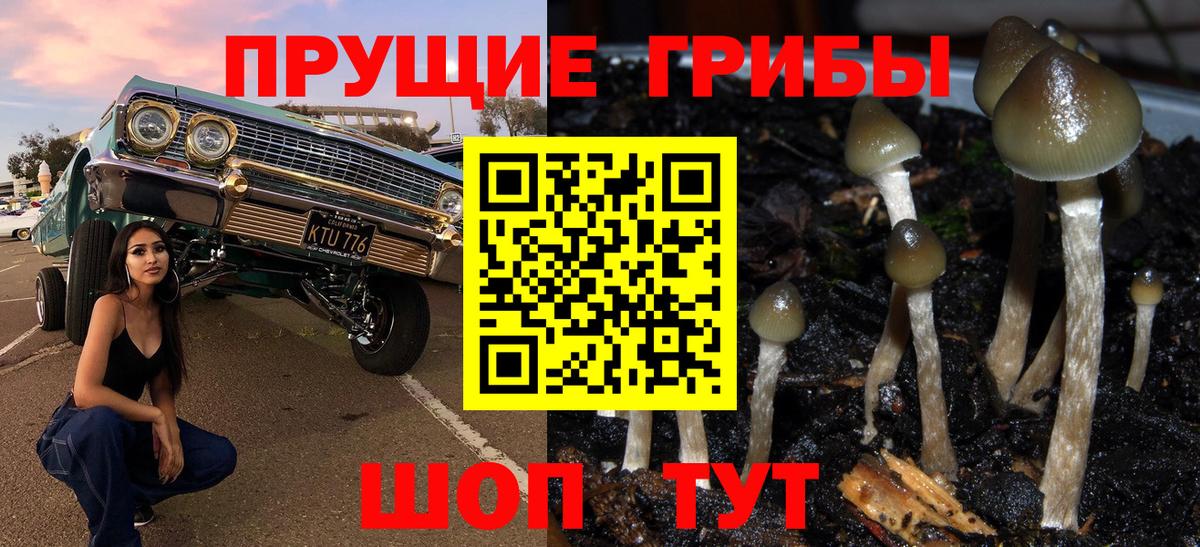 Галлюциногенные грибы GOLDEN TEACHER Южноуральск