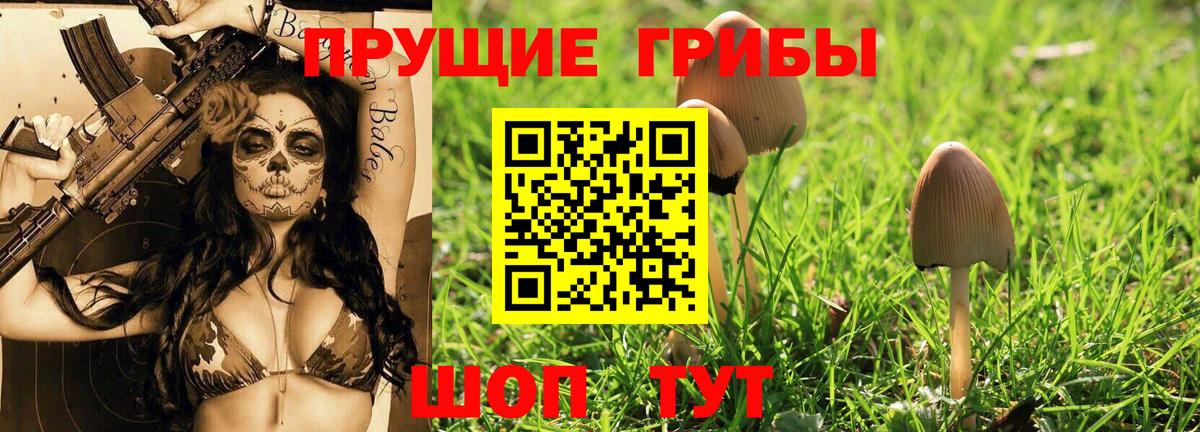 Галлюциногенные грибы Psilocybe  Псилоцибиновые грибы Psilocybine cubensis  Южноуральск  Вход с VPN 